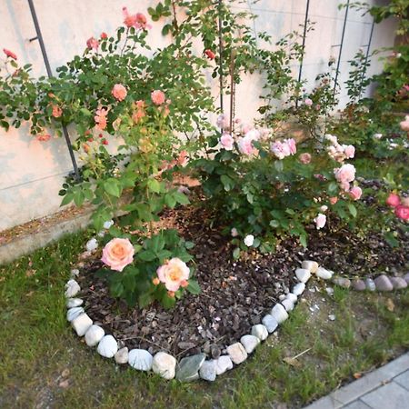 Apartmaji Lejardin Škofljica المظهر الخارجي الصورة